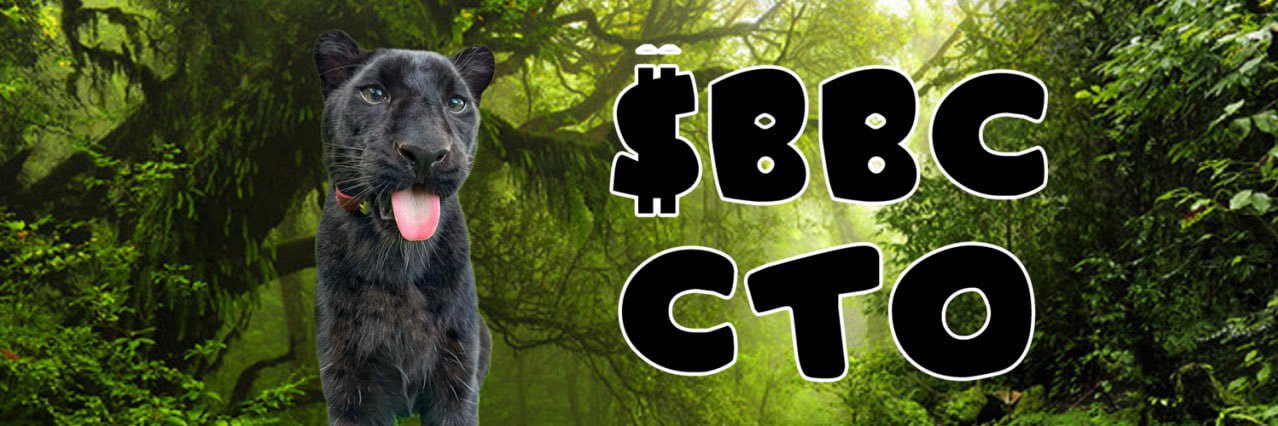 BigBlackCatCoin's profile banner image