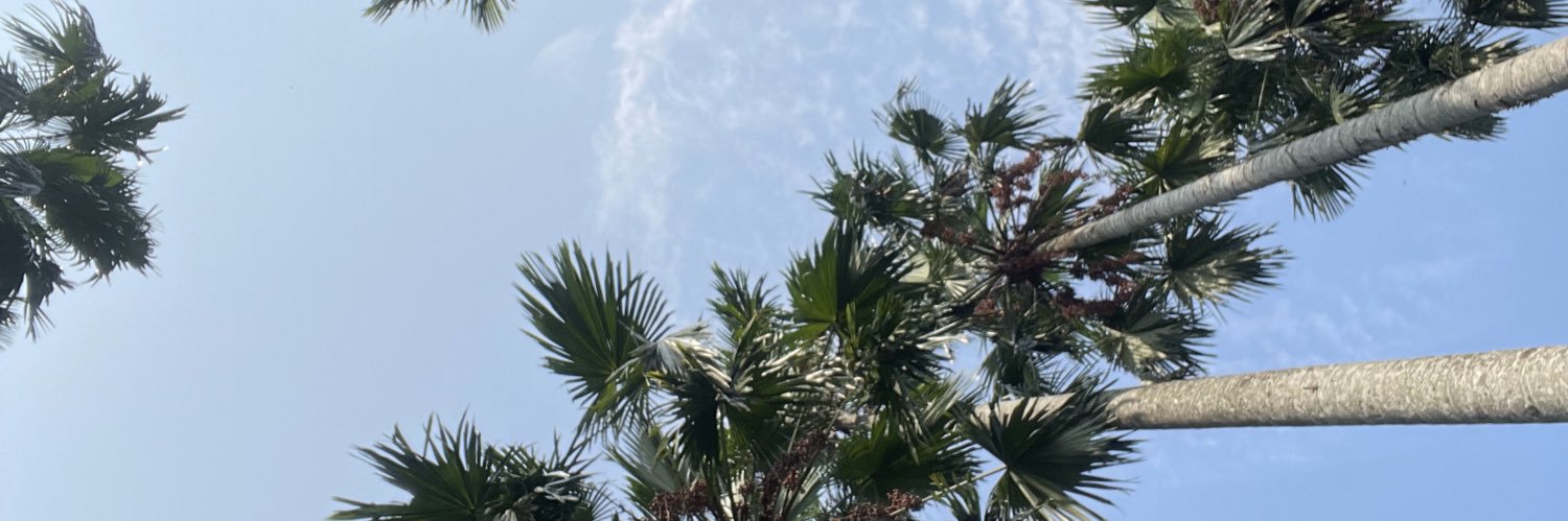 zkarzqa's profile banner image