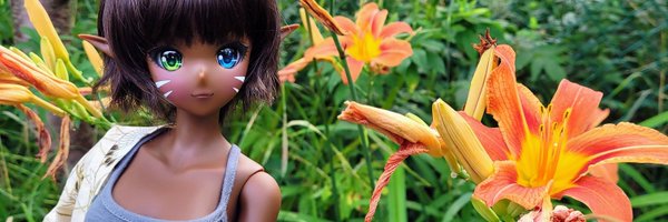 WhiteRabbit887 Profile Banner