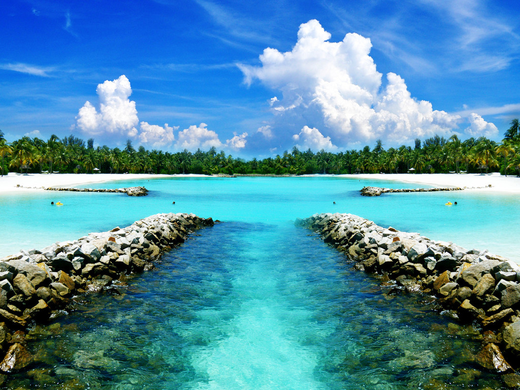 Kristin Terry banner