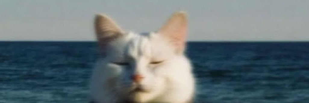 shmra55's profile banner image