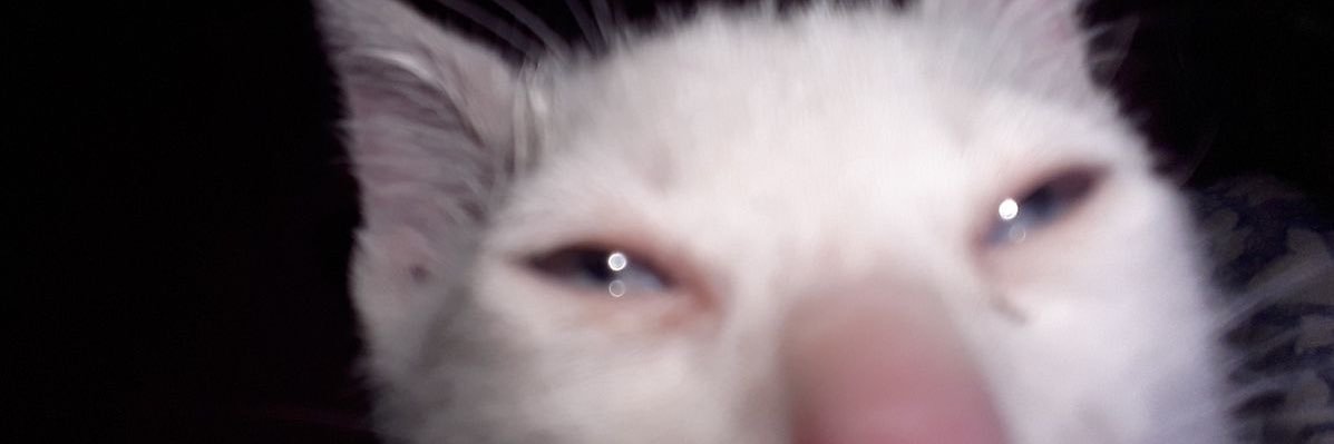 _karimon's profile banner image