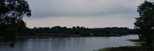tyagi__pallav Profile Banner