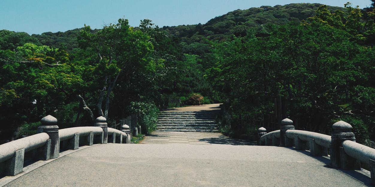 Stephanie Foti banner