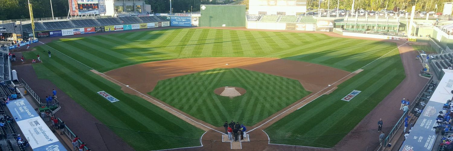 STAC Baseball banner