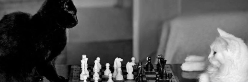 Sentiment Philosophy banner