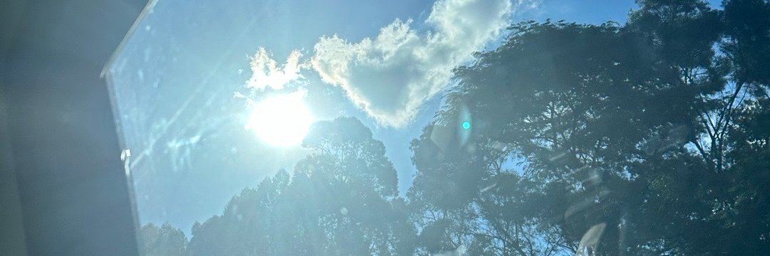 SoftPetalDiary's profile banner image