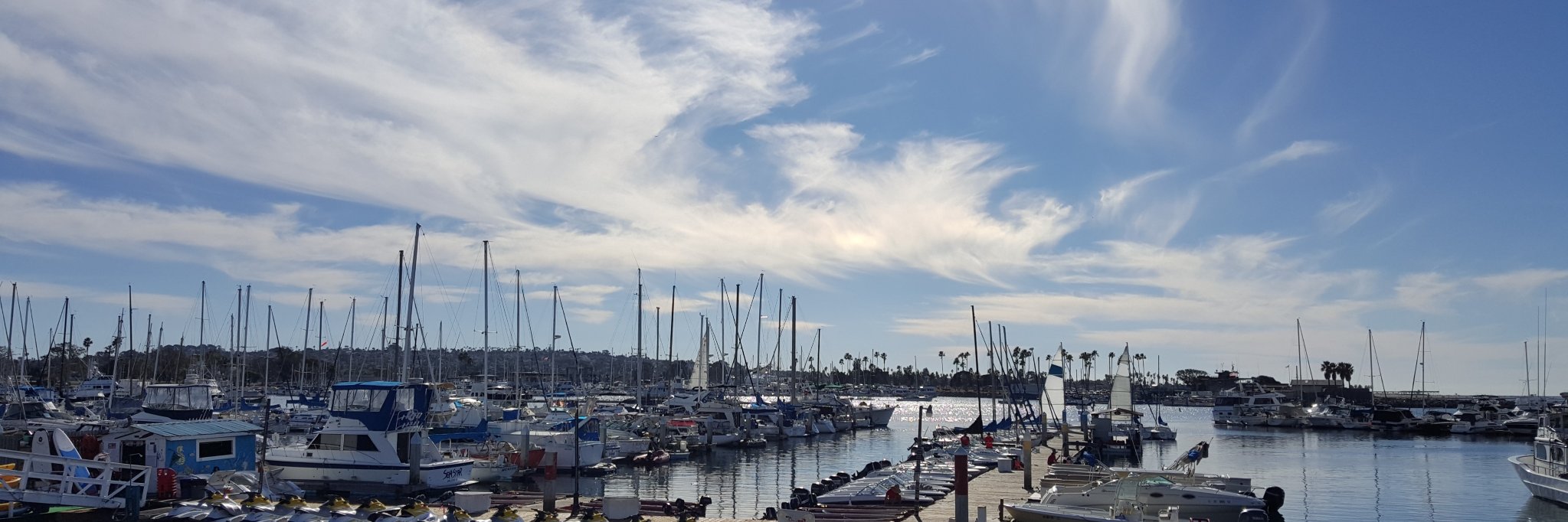 Tracey Daniels banner