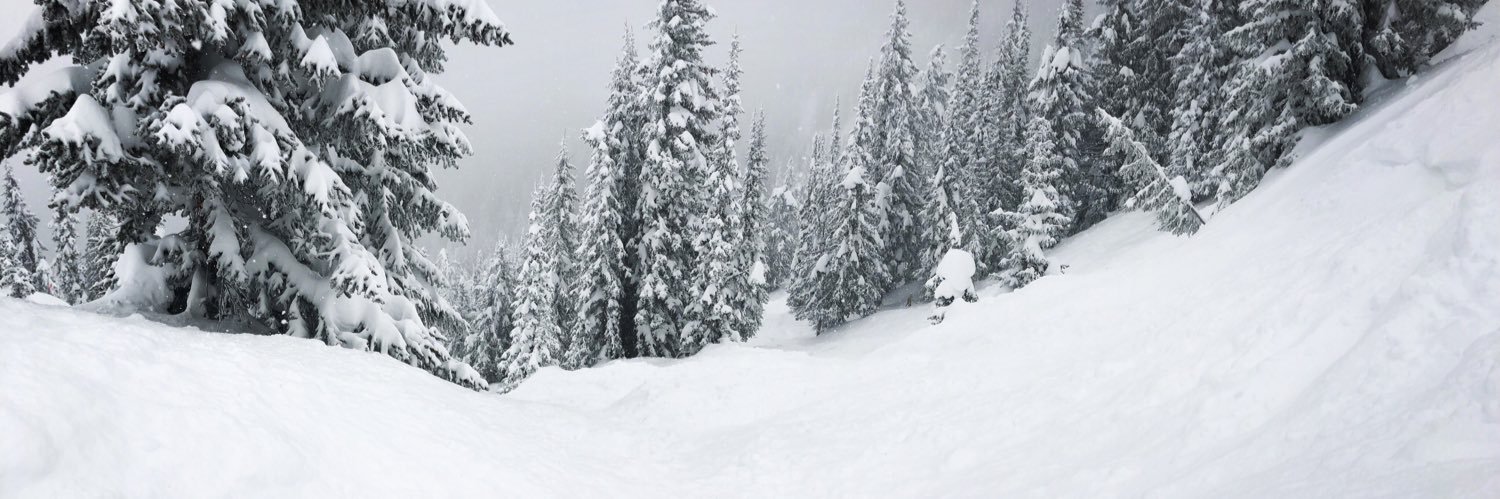speedjason's profile banner image