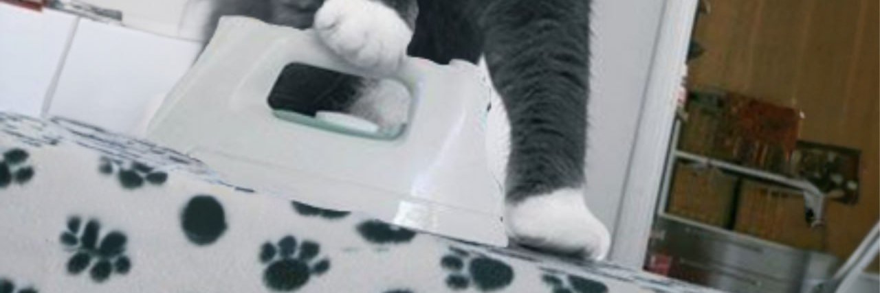 chorsthekat's profile banner image