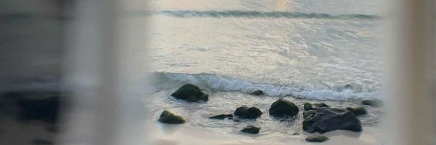 佩佩 banner