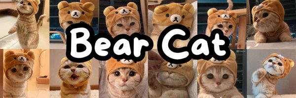 SolBearCat Profile Banner