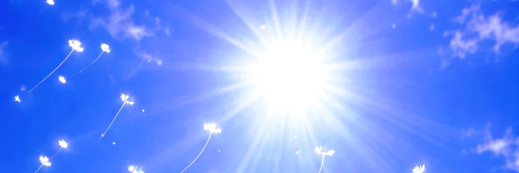 Lê Quang Lưỡng banner