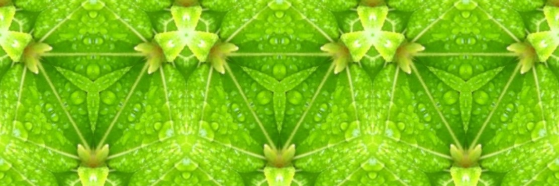 Herjen Oldenbeuving banner