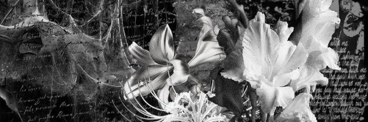 1R1N_03's profile banner image