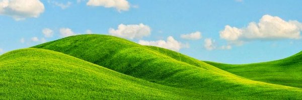 DailySelfcest Profile Banner