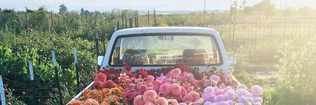 alexisislost's profile banner image