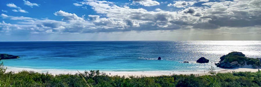 Beverle Lottimore. Feed your mind truth. INTJ/ISFJ banner