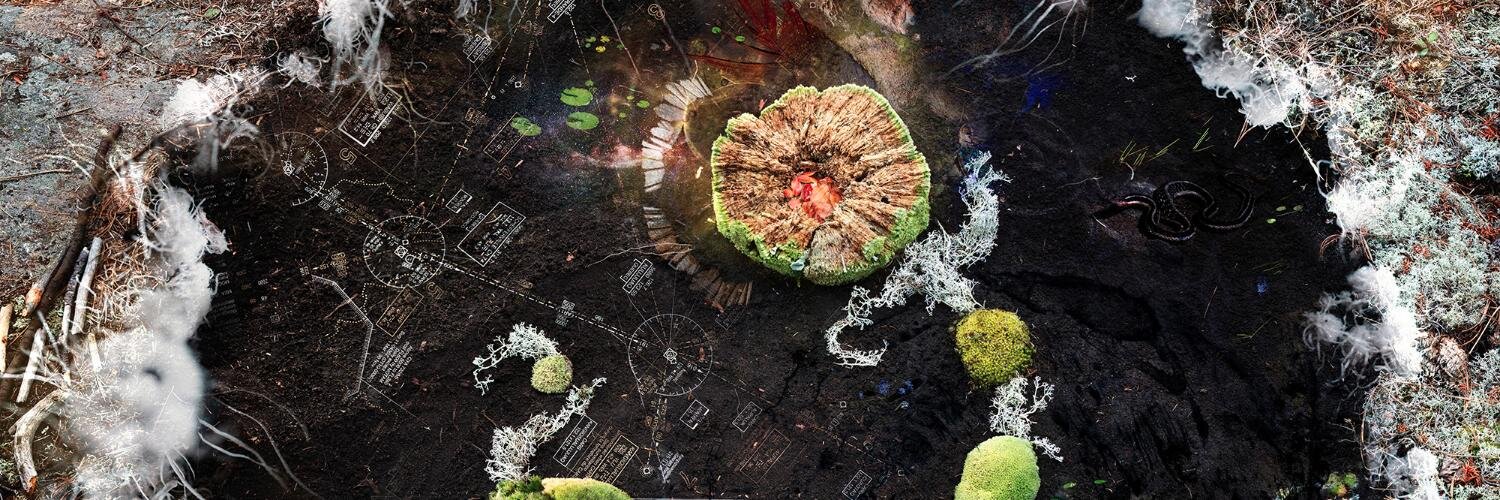 Harold Sikkema banner