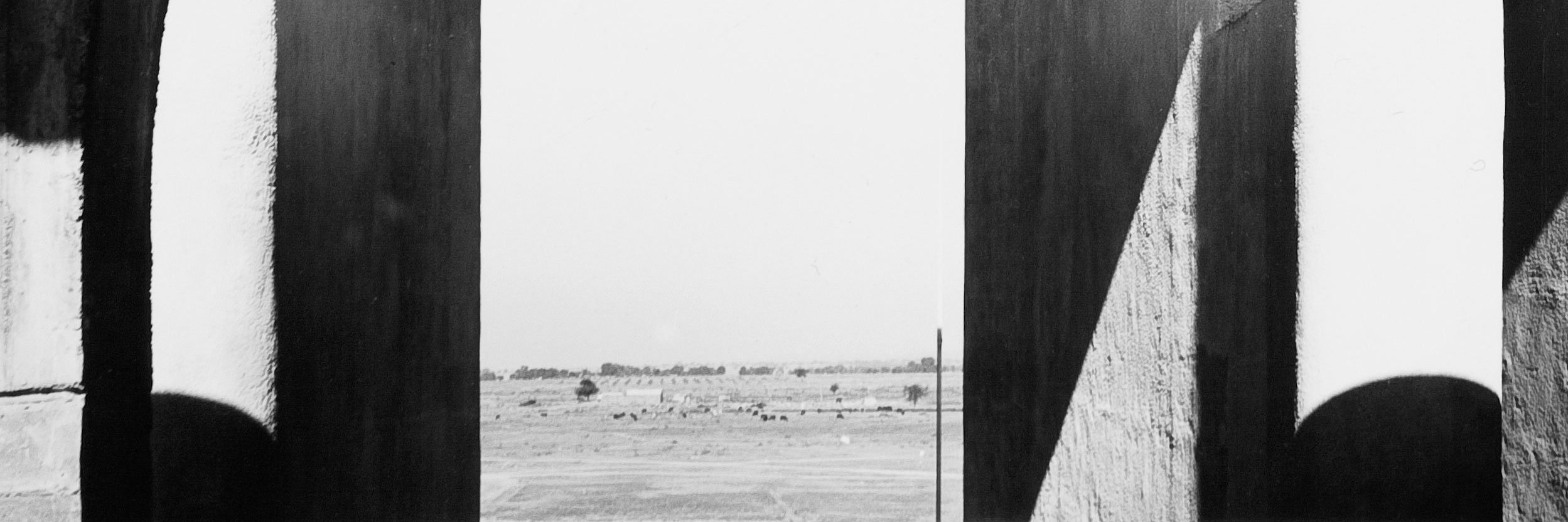 moshadee's profile banner image