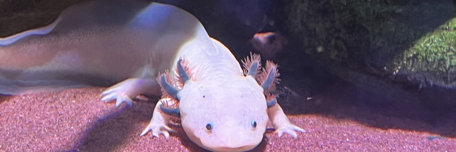 karfsub's profile banner image