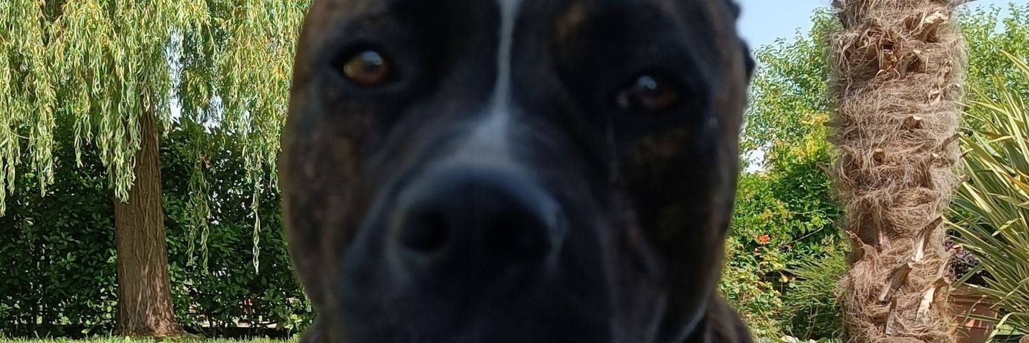 j03l1z's profile banner image