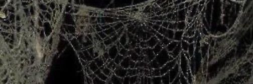 decapitatem3's profile banner image