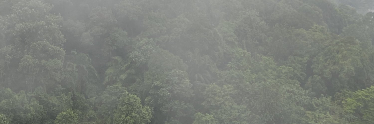 CzeYingWAU's profile banner image