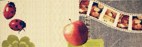 z3rovery Profile Banner