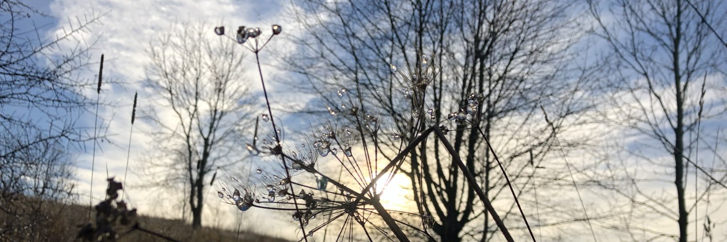 hannahjmac42's profile banner image