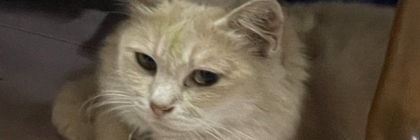 KaptenMFR Profile Banner