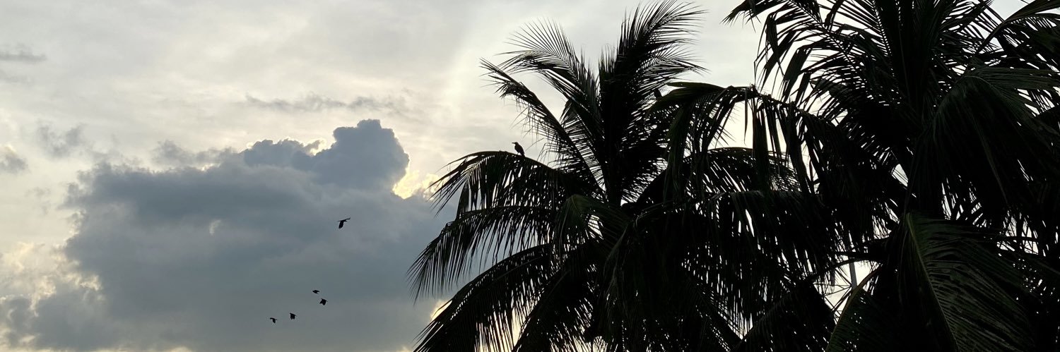 rini_kol's profile banner image