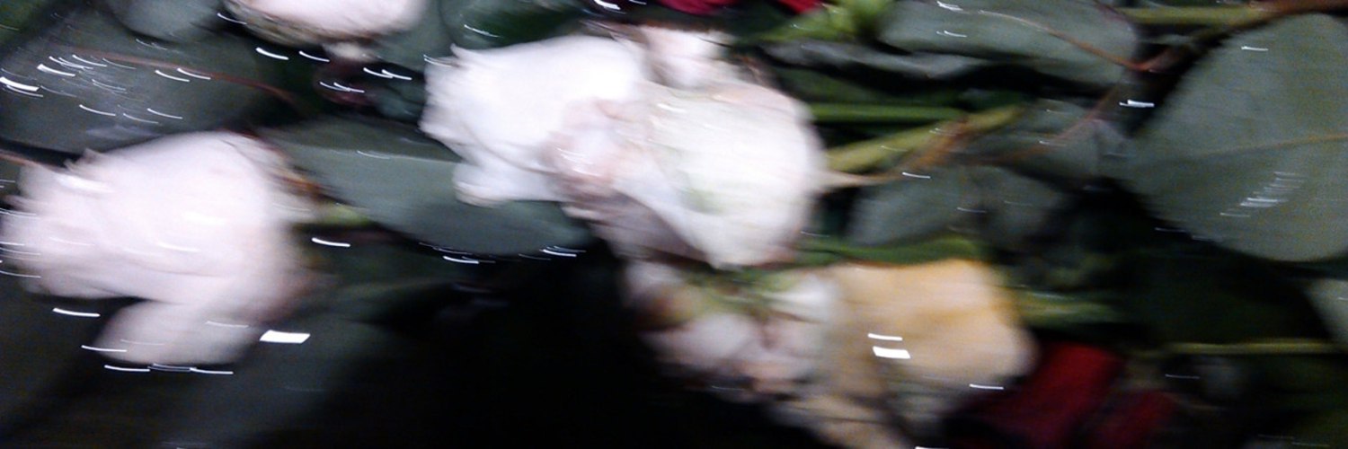 дон скайуокер banner