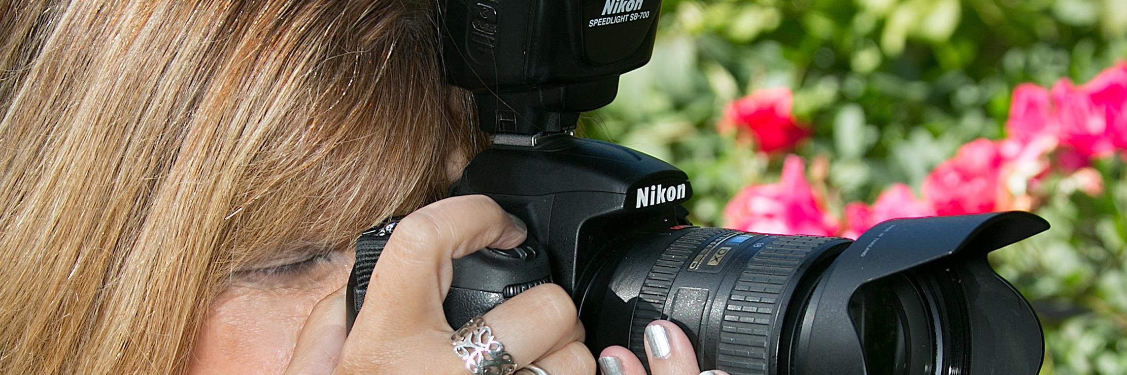LisaTamburini's profile banner image