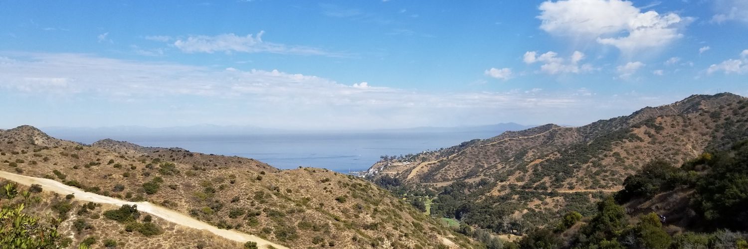 AmandaBerman18's profile banner image