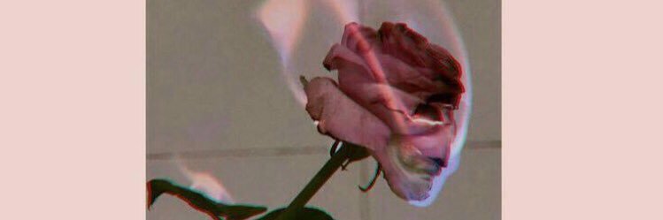 ko_dmichele's profile banner image