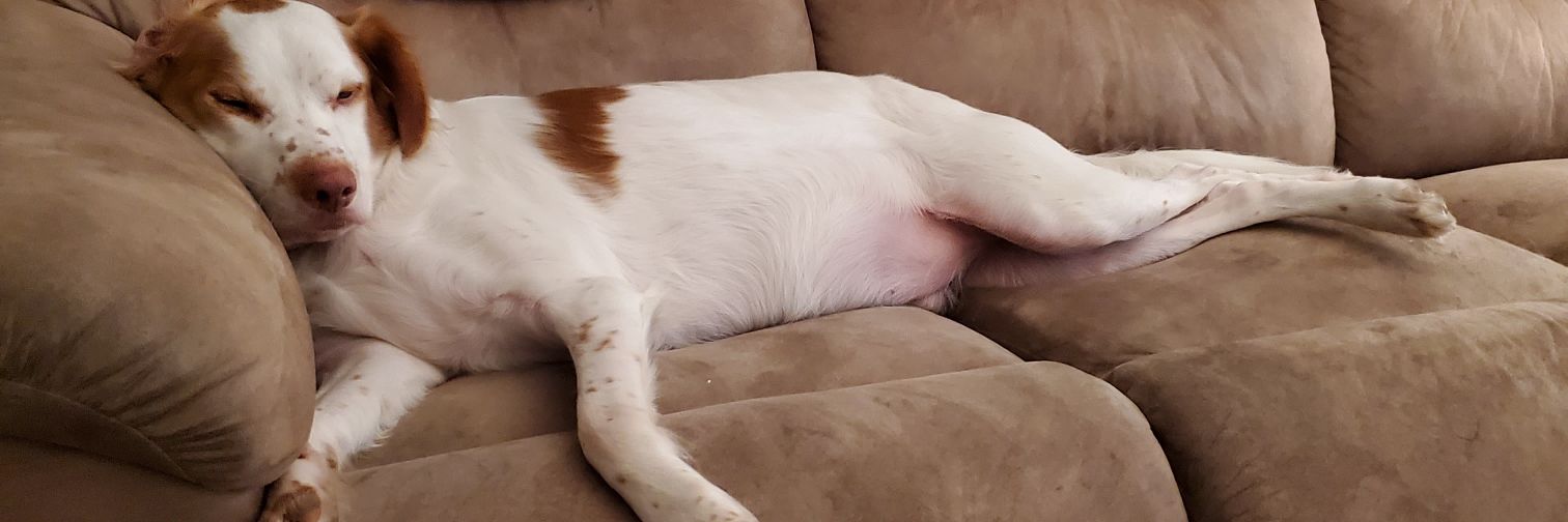hotmessjess12's profile banner image