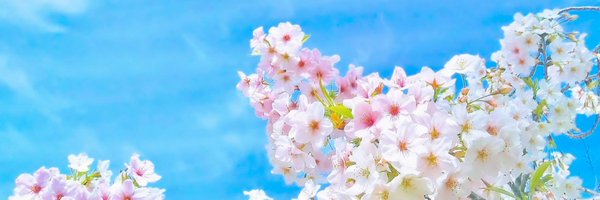 k____wb Profile Banner