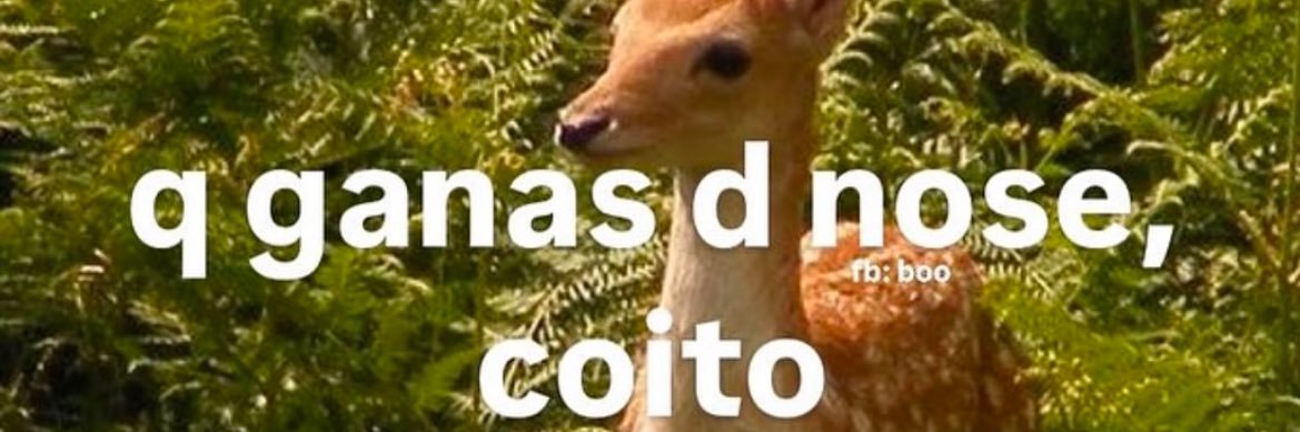 Danna ✨ banner