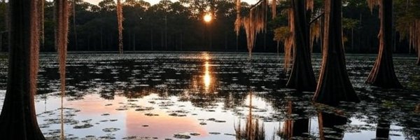 VictorBK520 Profile Banner