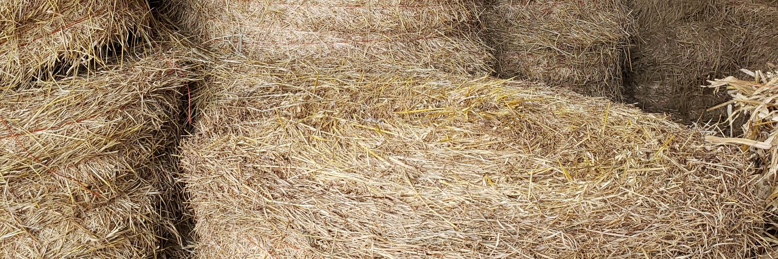plor's profile banner image