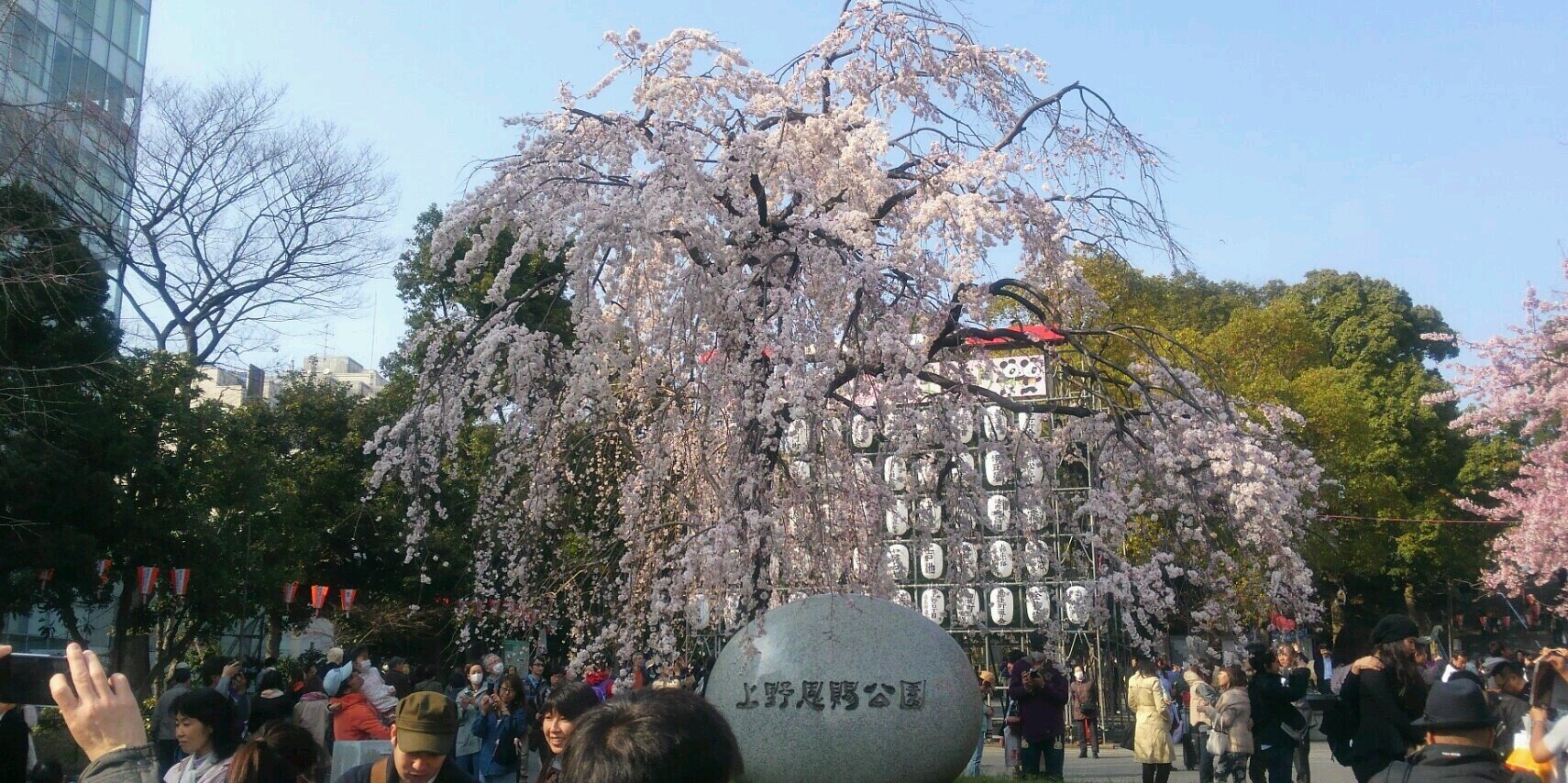 Taihei_Raku's profile banner image