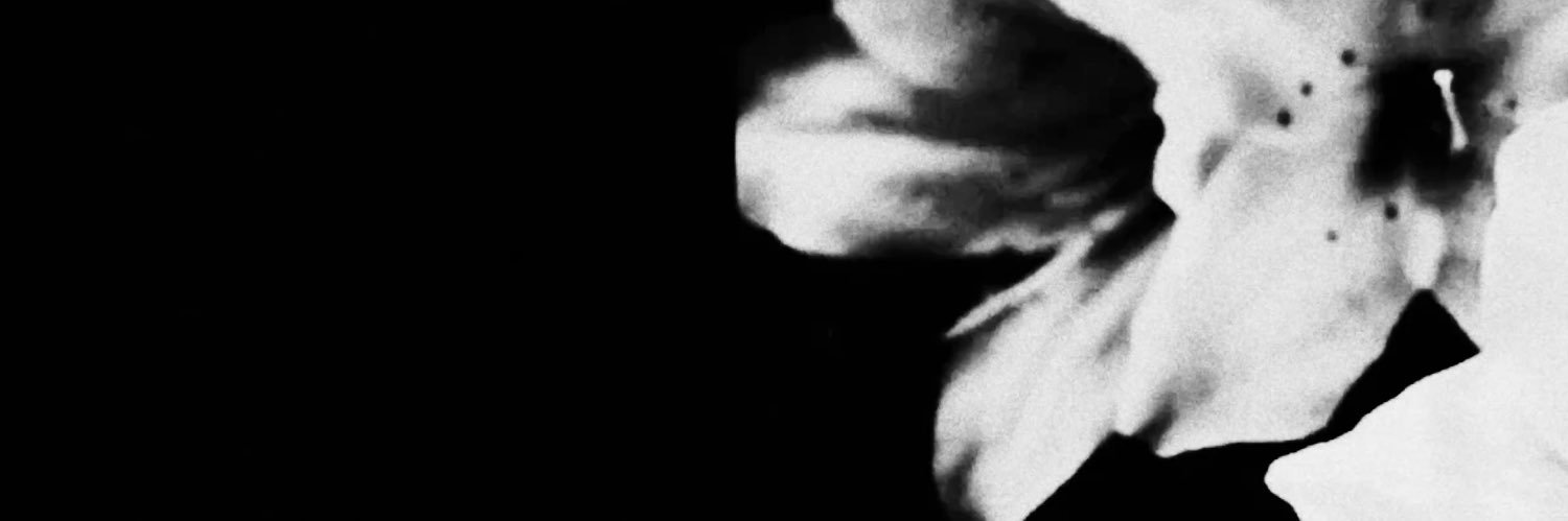 nee's banner