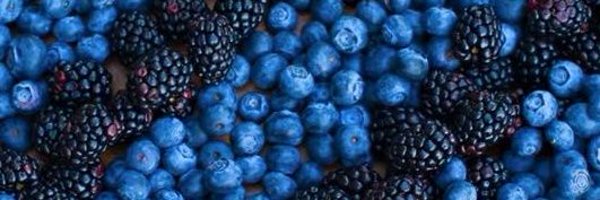 BlueBerryFemCat Profile Banner