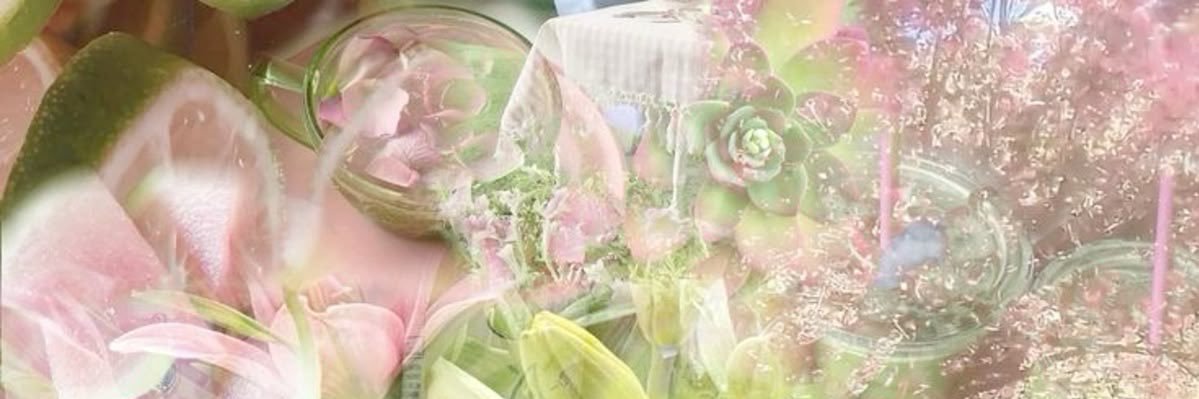 𖡄 Skayara. ²⁷ banner
