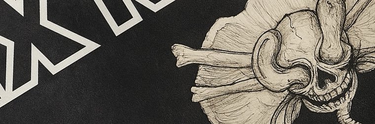 ピーナッツ(ミックスナッツ海賊団) banner