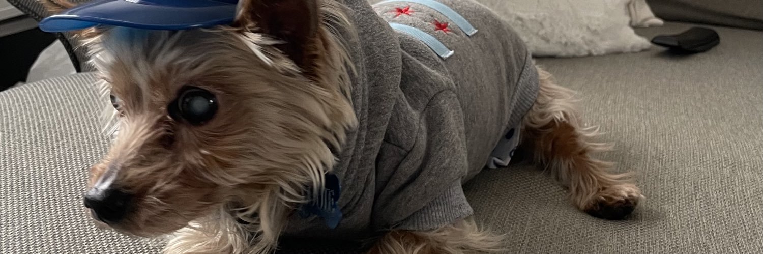 Patrick Bertoletti banner