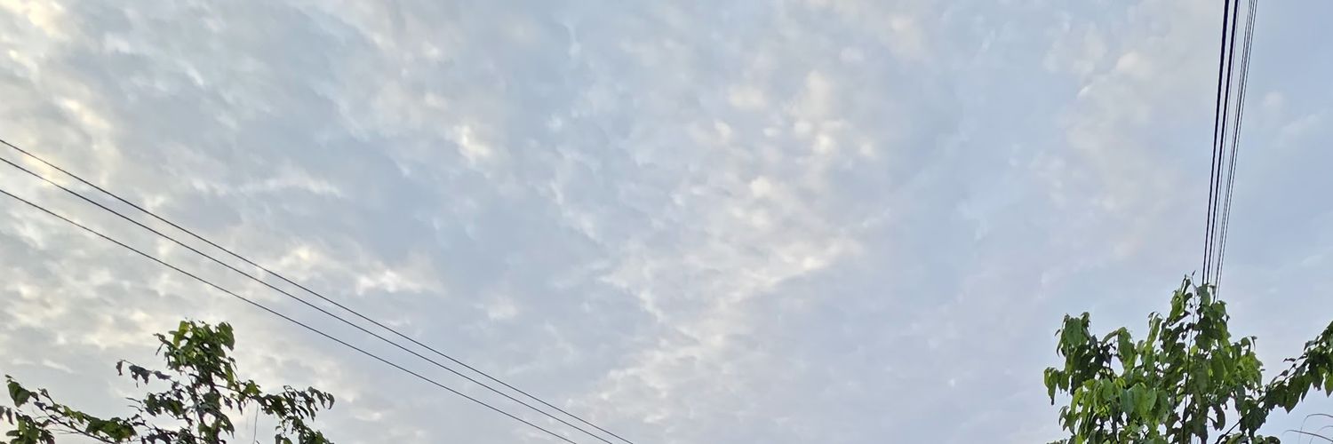 alldww banner
