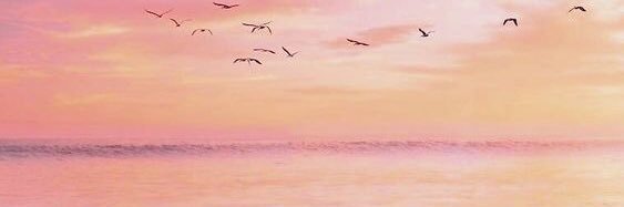 puterijulianaaa's profile banner image