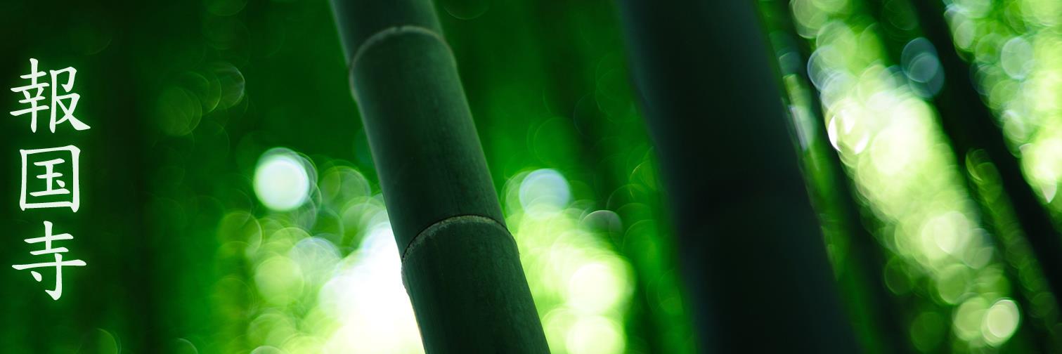 Naisho26's profile banner image
